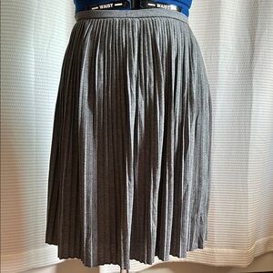 Gray Pleated Skirt